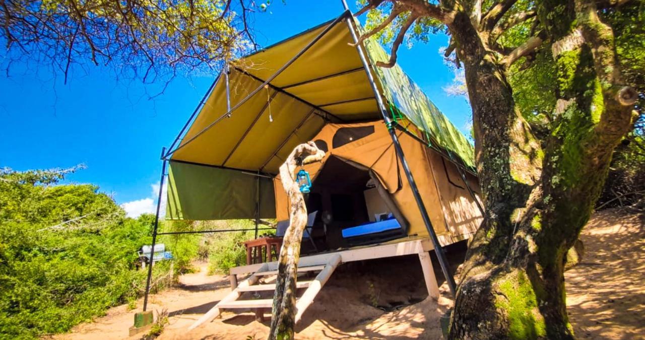 Back Of Beyond Dune Camp Yala Exterior photo