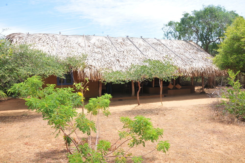 Back Of Beyond Dune Camp Yala Exterior photo