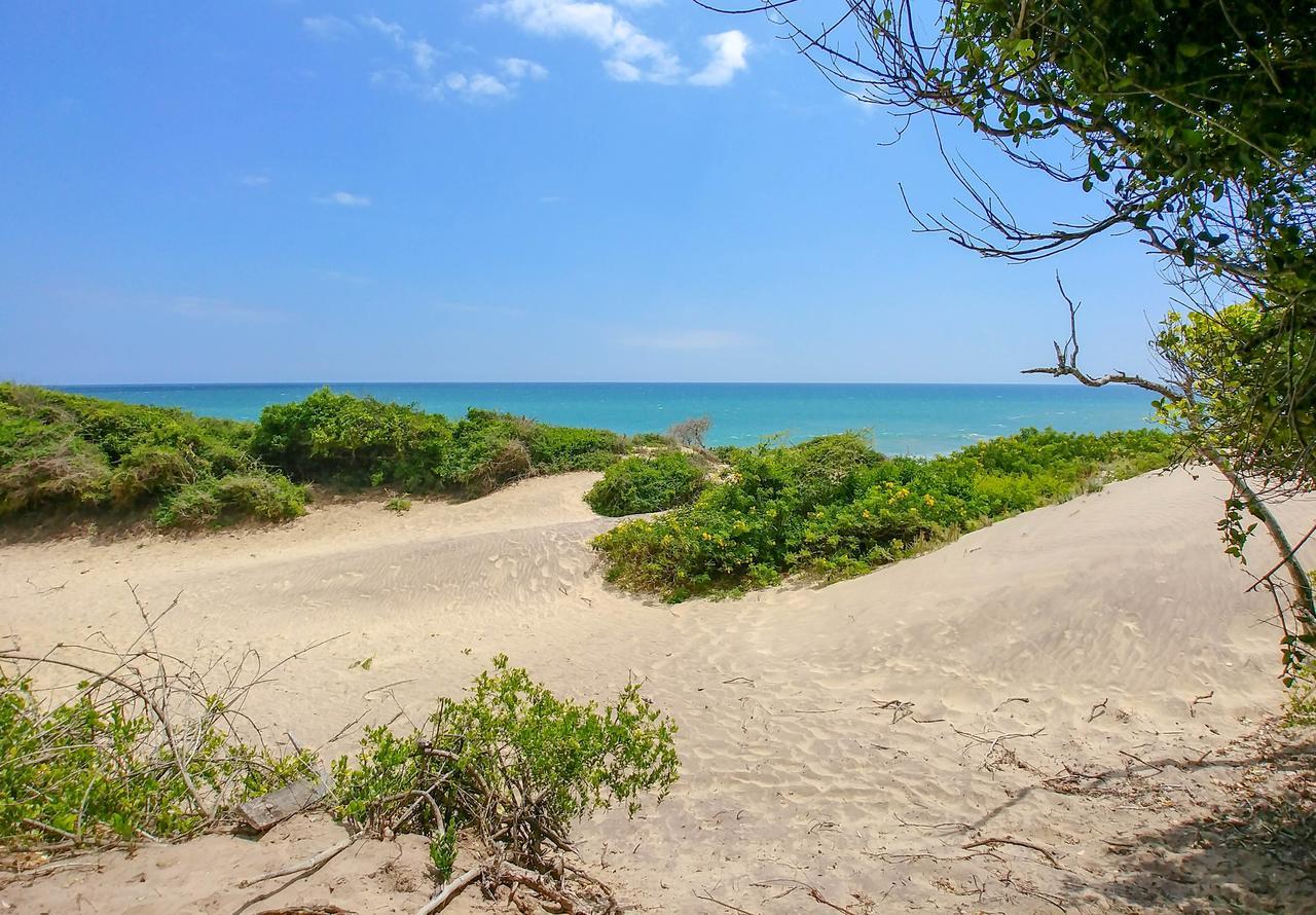 Back Of Beyond Dune Camp Yala Exterior photo