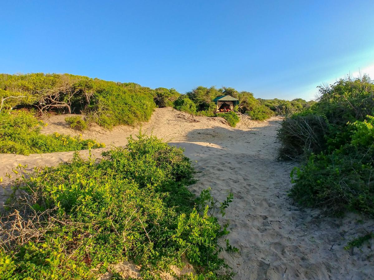 Back Of Beyond Dune Camp Yala Exterior photo