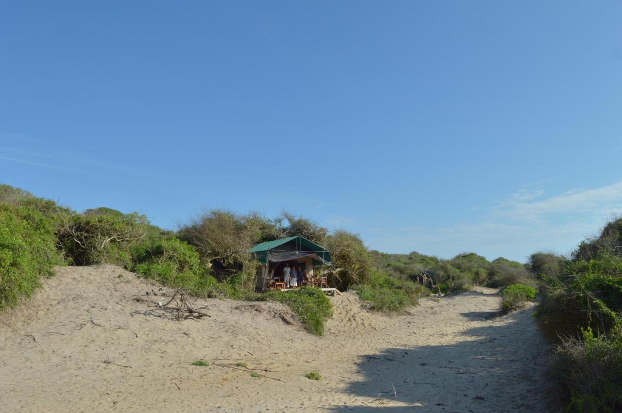 Back Of Beyond Dune Camp Yala Exterior photo